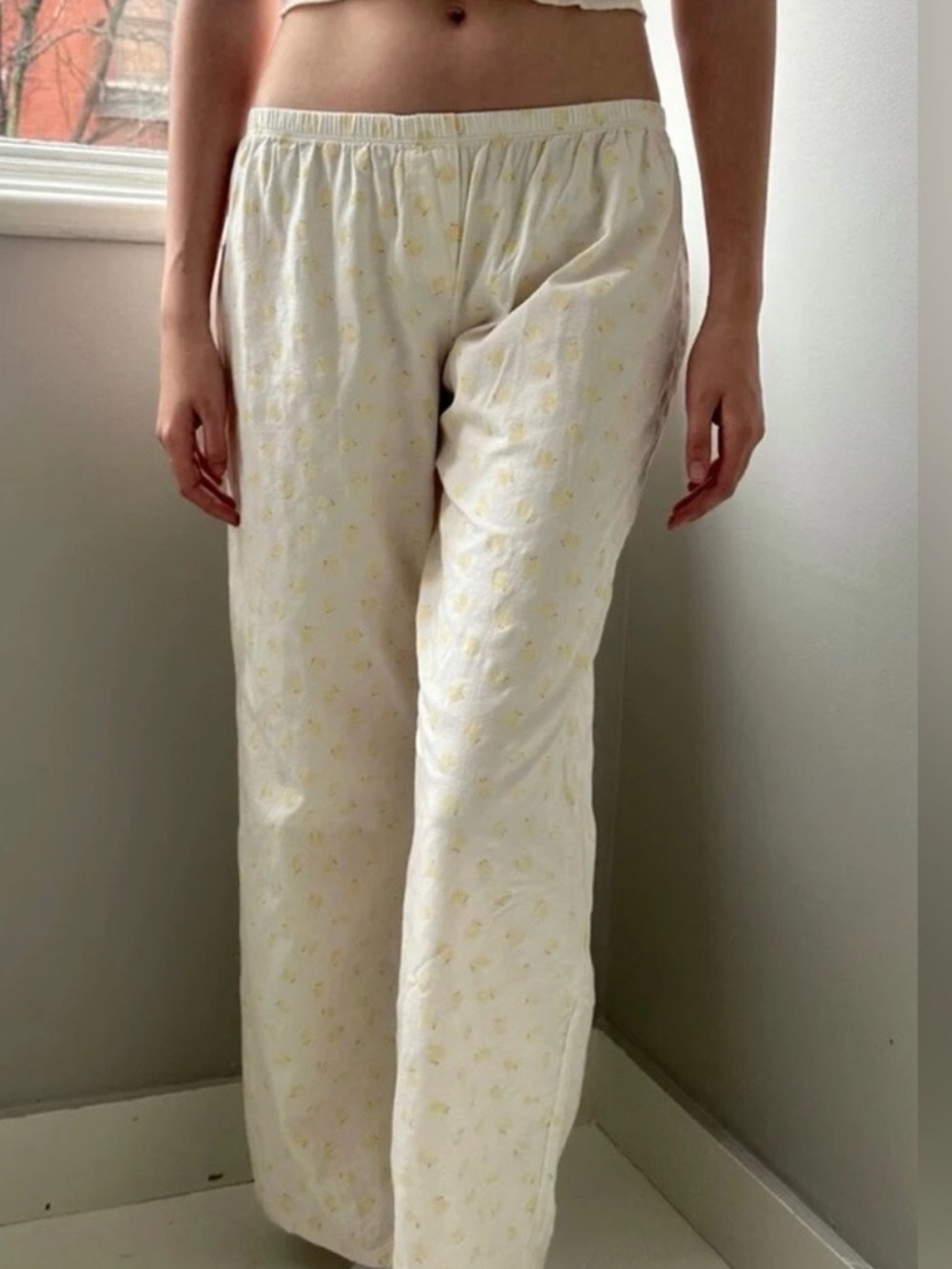 Brandy Melville Keira Duck Pants NWOT